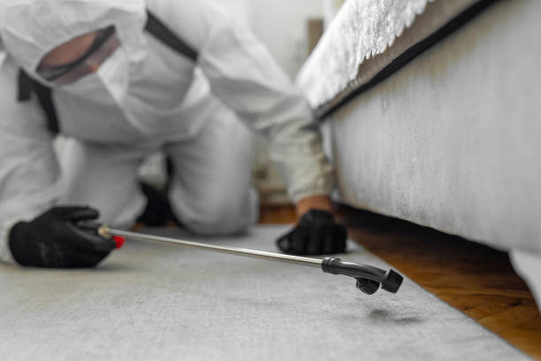 Professional Bed Bug Control technician working in Jamestown, NC