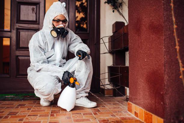 Reliable Bed Bug Control contractor in Jamestown, NC by Nex Pest Control