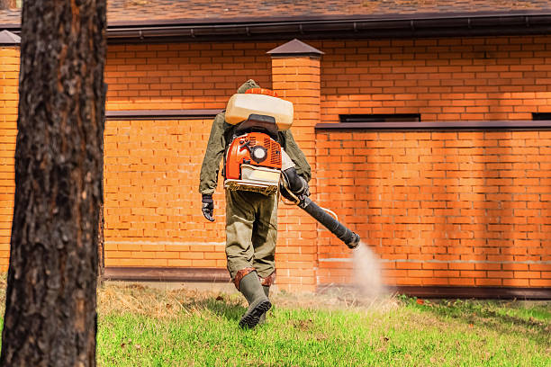 Trusted Termite Control service in Jamestown, NC - Nex Pest Control